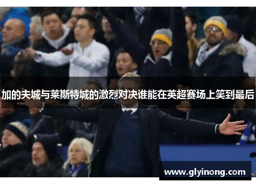 加的夫城与莱斯特城的激烈对决谁能在英超赛场上笑到最后