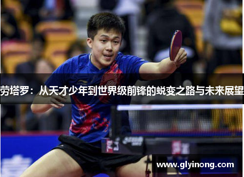 劳塔罗：从天才少年到世界级前锋的蜕变之路与未来展望