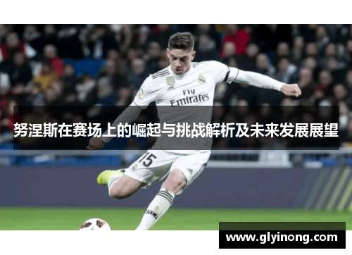 努涅斯在赛场上的崛起与挑战解析及未来发展展望