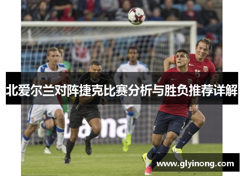 北爱尔兰对阵捷克比赛分析与胜负推荐详解