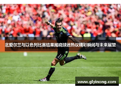 北爱尔兰与以色列比赛结果揭晓球迷热议精彩瞬间与未来展望