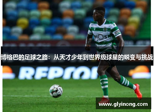博格巴的足球之路：从天才少年到世界级球星的蜕变与挑战