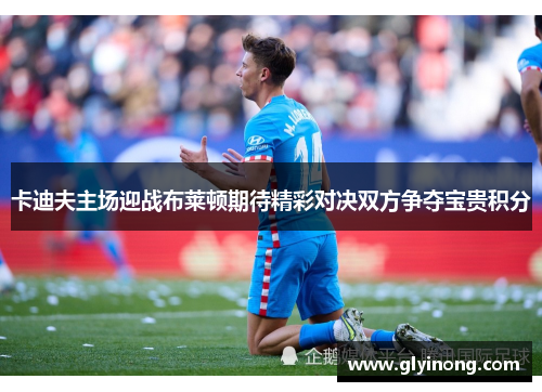 卡迪夫主场迎战布莱顿期待精彩对决双方争夺宝贵积分