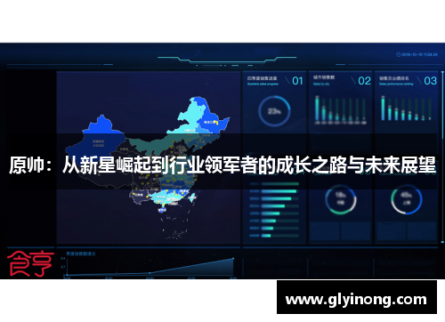 原帅：从新星崛起到行业领军者的成长之路与未来展望