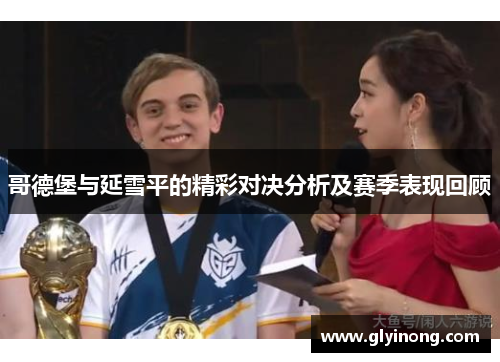 哥德堡与延雪平的精彩对决分析及赛季表现回顾