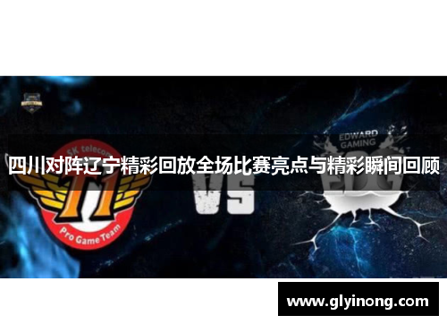 四川对阵辽宁精彩回放全场比赛亮点与精彩瞬间回顾