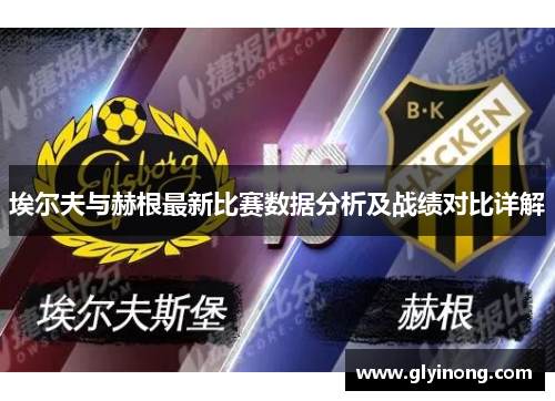 埃尔夫与赫根最新比赛数据分析及战绩对比详解