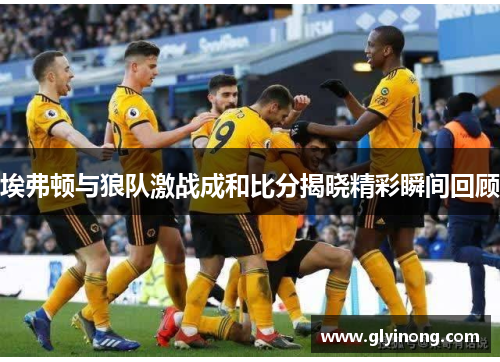 埃弗顿与狼队激战成和比分揭晓精彩瞬间回顾