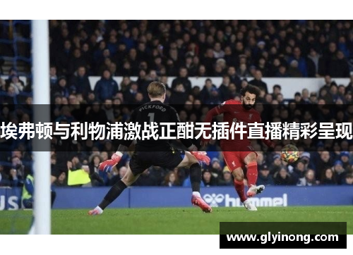 埃弗顿与利物浦激战正酣无插件直播精彩呈现