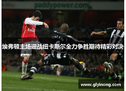 埃弗顿主场迎战纽卡斯尔全力争胜期待精彩对决