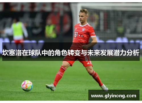 坎塞洛在球队中的角色转变与未来发展潜力分析