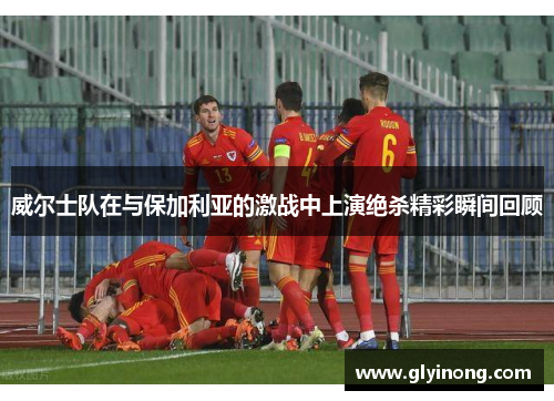 威尔士队在与保加利亚的激战中上演绝杀精彩瞬间回顾