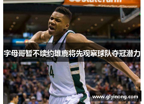 字母哥暂不续约雄鹿将先观察球队夺冠潜力