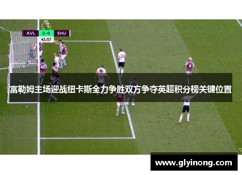 富勒姆主场迎战纽卡斯全力争胜双方争夺英超积分榜关键位置