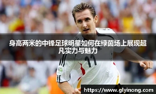身高两米的中锋足球明星如何在绿茵场上展现超凡实力与魅力
